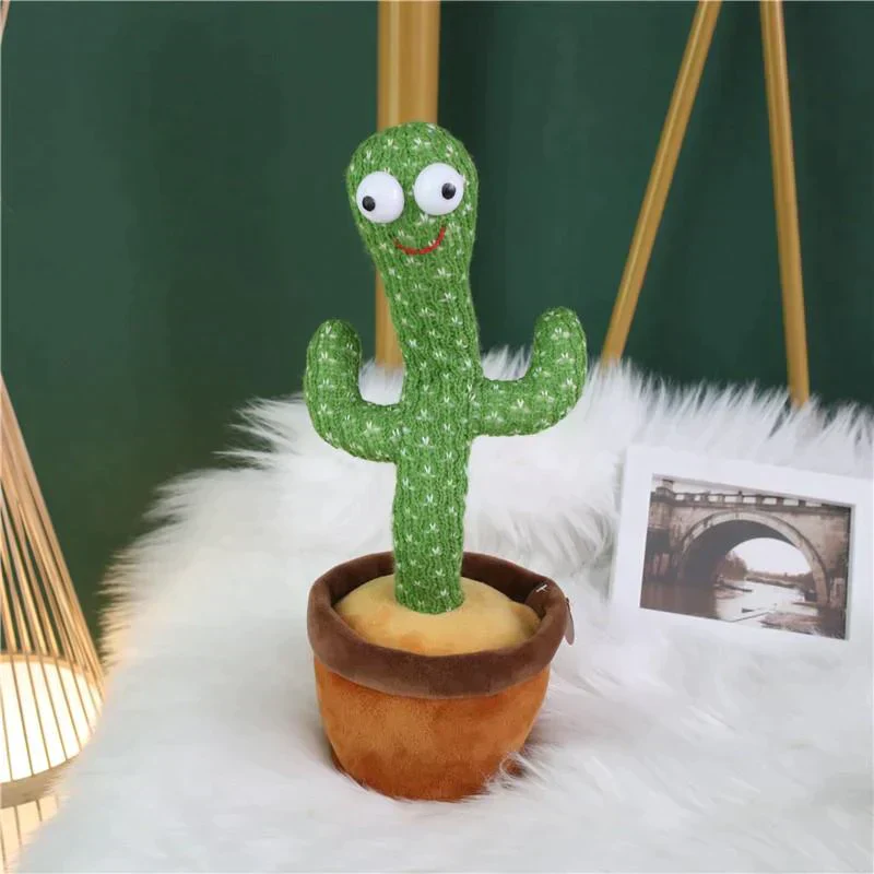 CACTUS MILO BAILARIN + ENVÍO GRATIS - Image 3